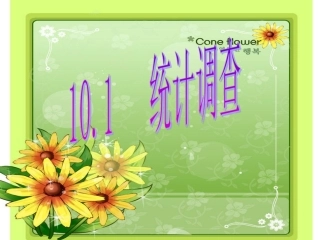 新人教版七年级下10-1《统计调查》（第1课时）课件