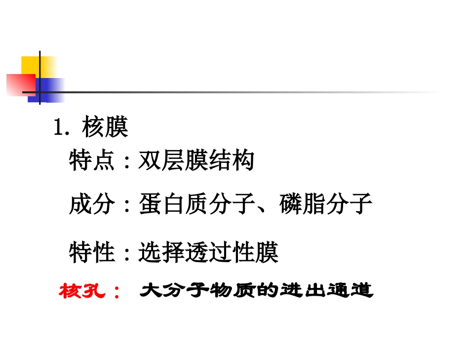 [资料]细胞核的构和功能1_第3页