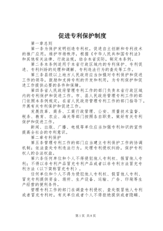 促进专利保护制度