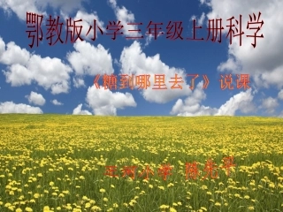 《糖到哪里去了》说课课件