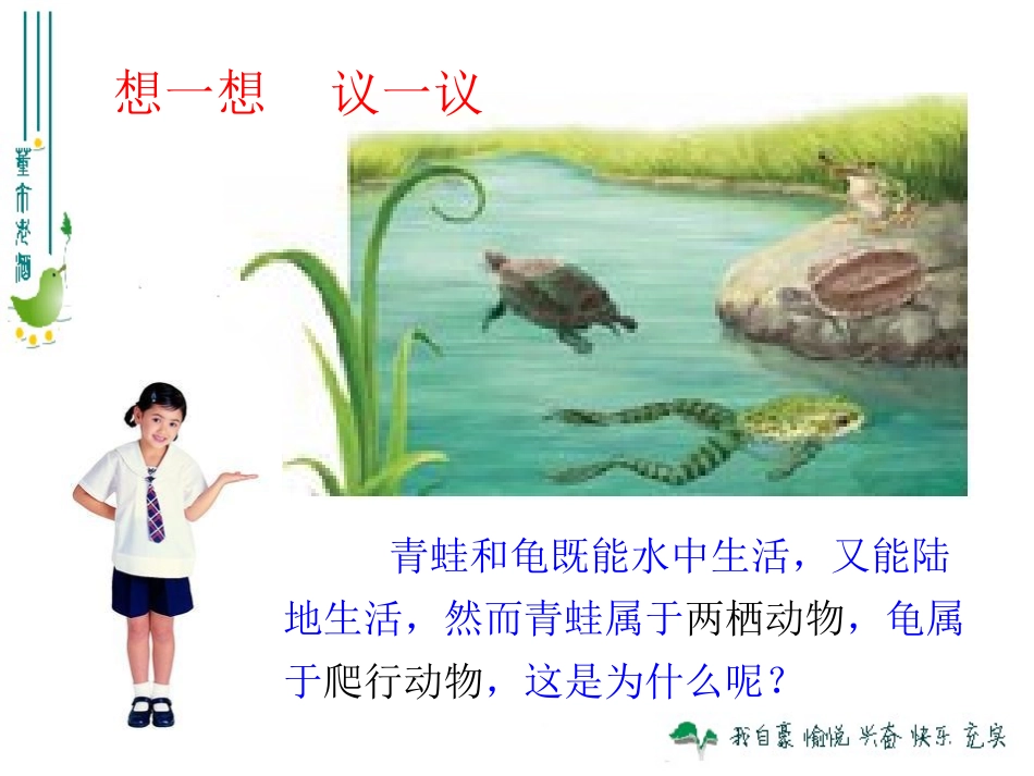 两栖动物和爬行动物_第1页