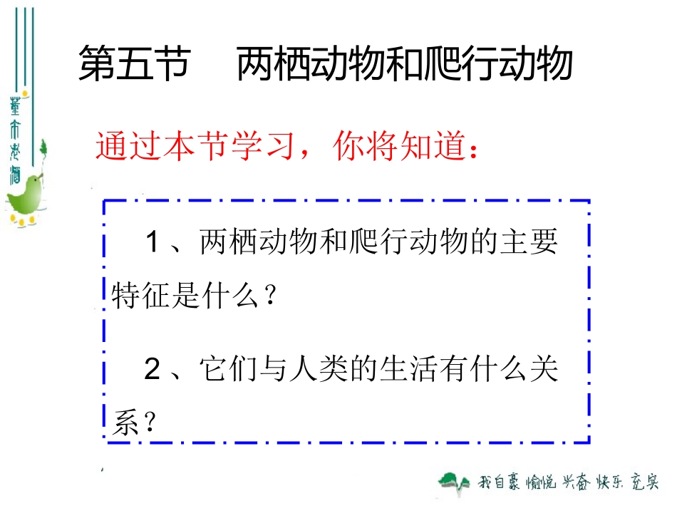 两栖动物和爬行动物_第2页