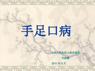 手足口病与发热的处理