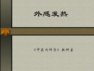 ww外感发热ppt