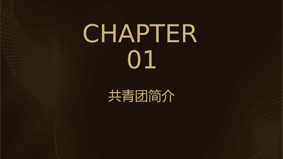 共青团入团仪式课件_第3页