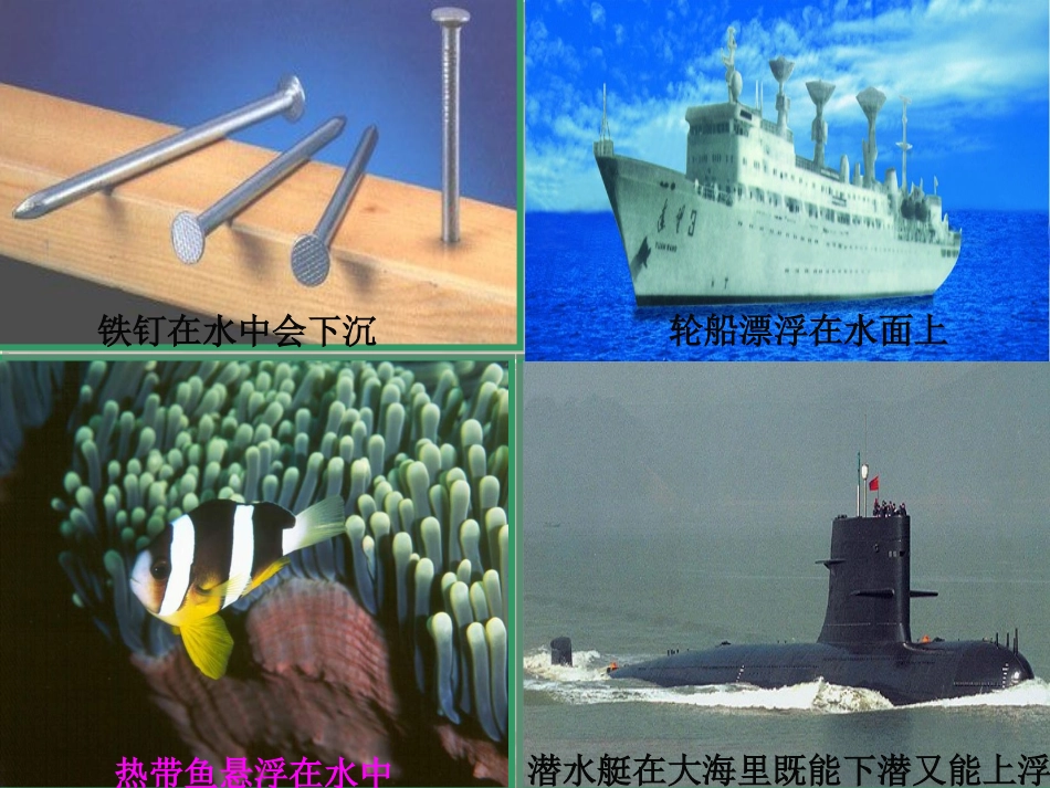 上课物体的浮与沉_第1页