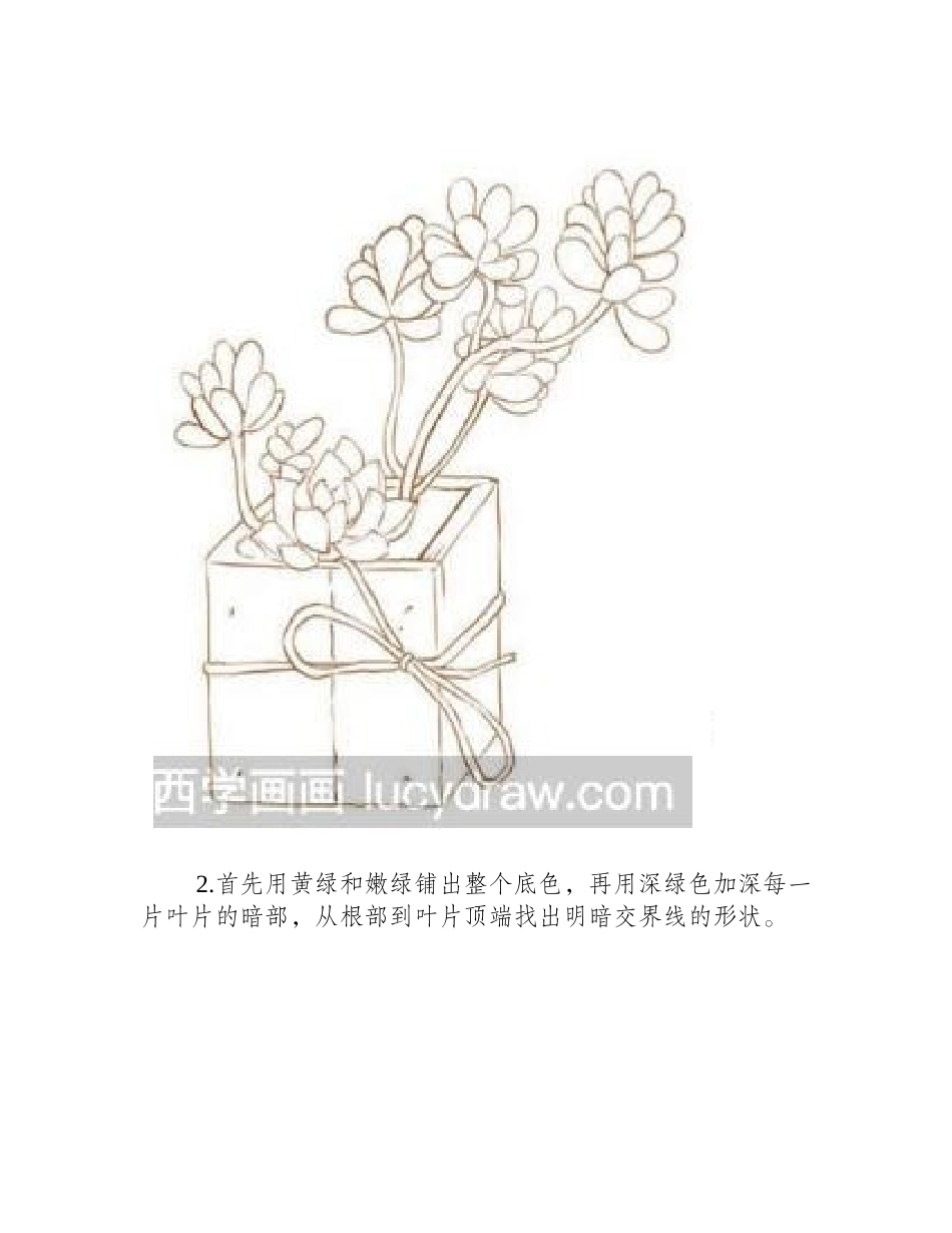 景天森林彩铅画教程彩铅画教程1_第2页