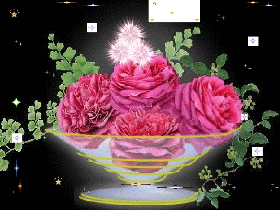 有理数的乘方2_第1页