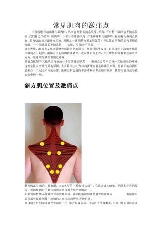 2012520128张明镇常见肌肉的激痛点