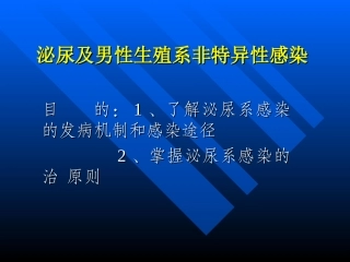 泌尿及男性生殖系非特异性感染