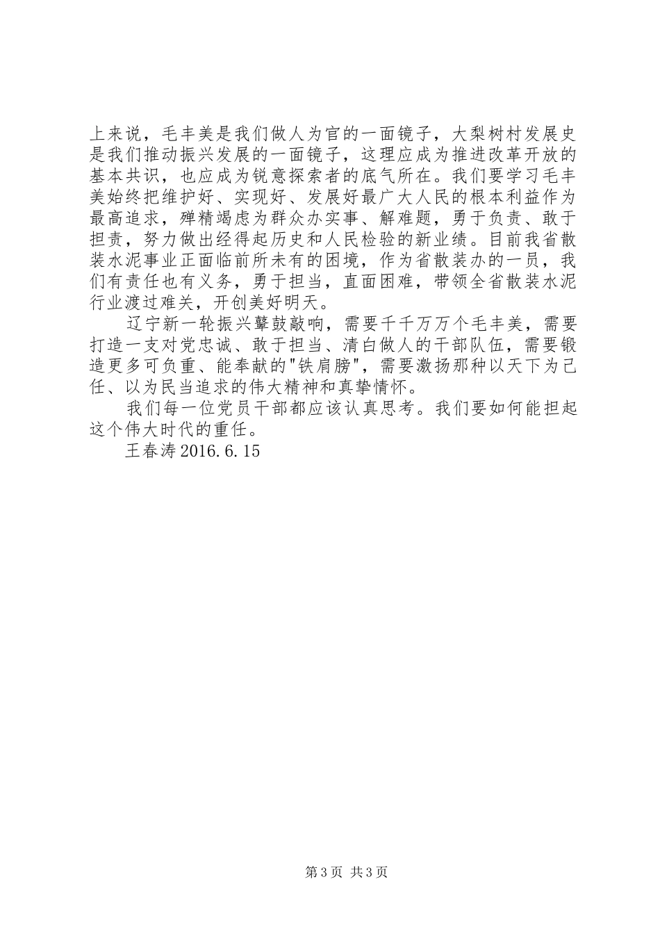 参观丹东大梨树村学习毛丰美精神心得体会 _第3页
