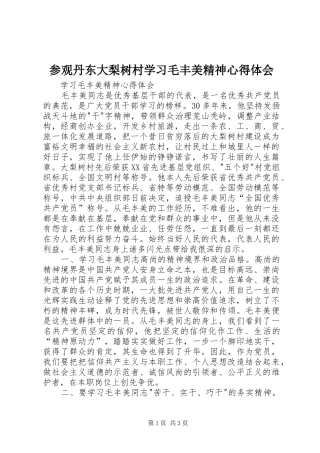 参观丹东大梨树村学习毛丰美精神心得体会 