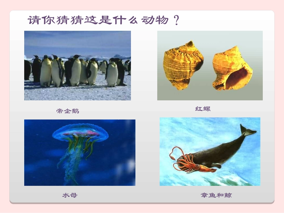 信息技术兴趣活动教案_第2页