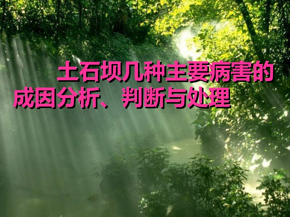 土石坝几种主要病害的成因分析、判断与处理_第1页