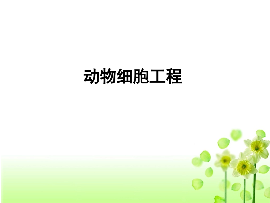 动物体细胞核移植技术和克隆动物(2016年)_第1页