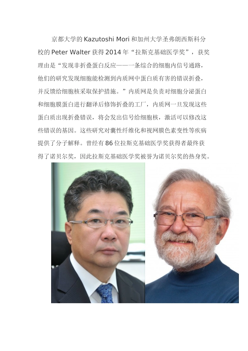 未折叠蛋白和内质网应激关系_第1页