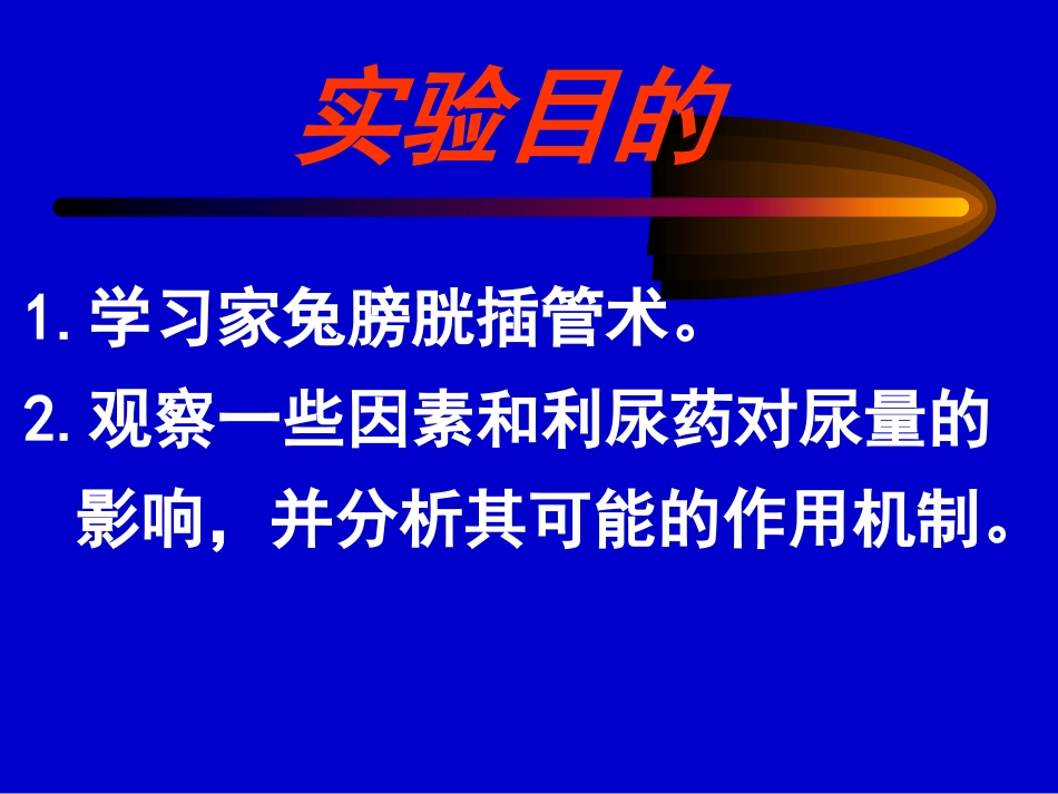 尿液生成的影响因素)_第2页