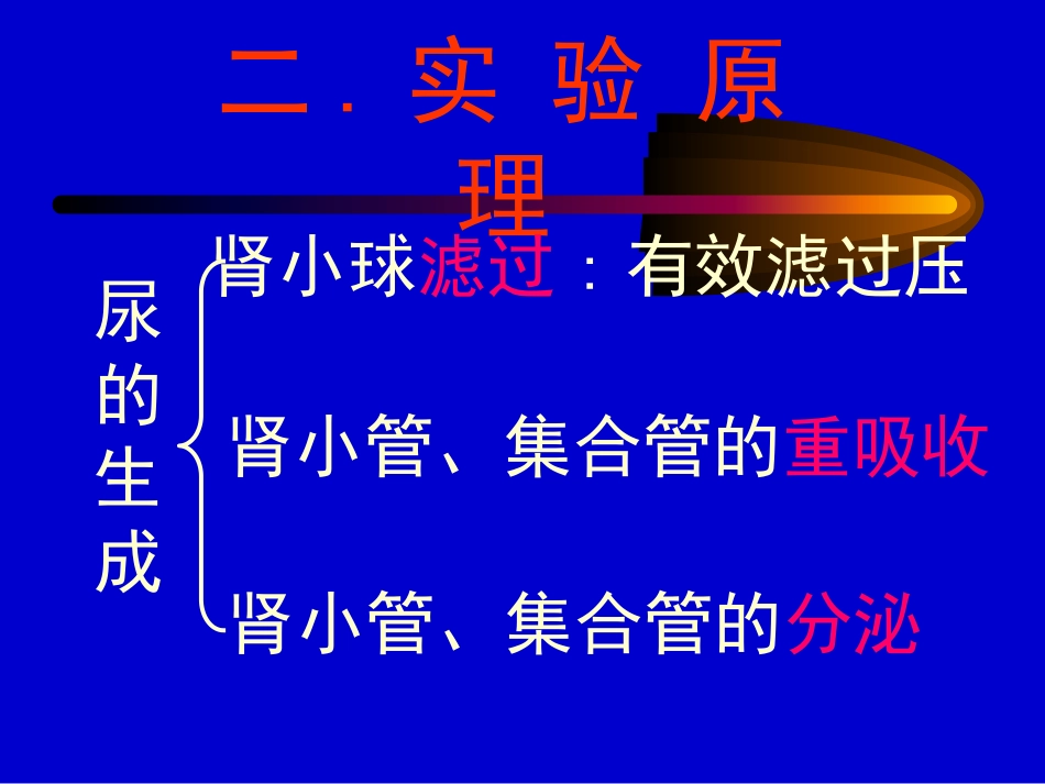 尿液生成的影响因素)_第3页