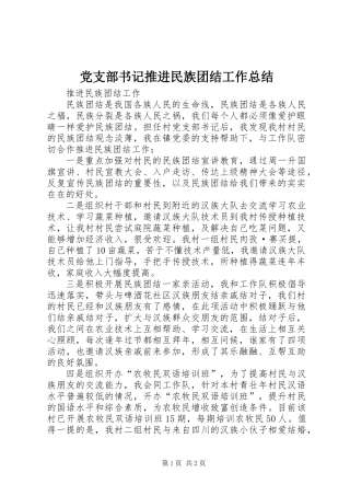 党支部书记推进民族团结工作总结 (2)
