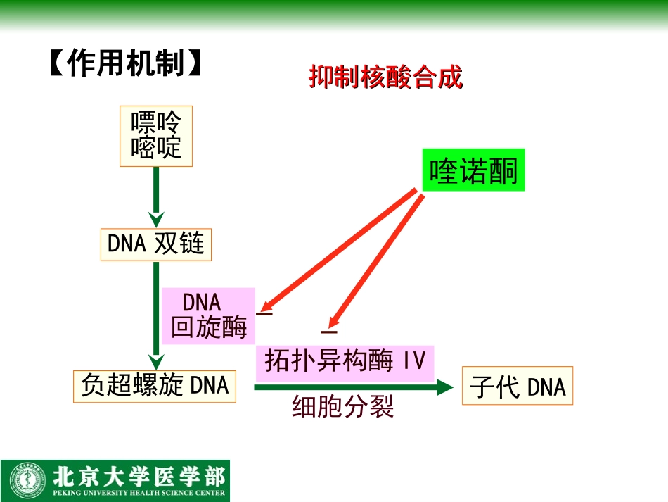 人工合成抗菌药-北医_第3页