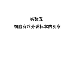 五细胞有丝分裂标本的观察