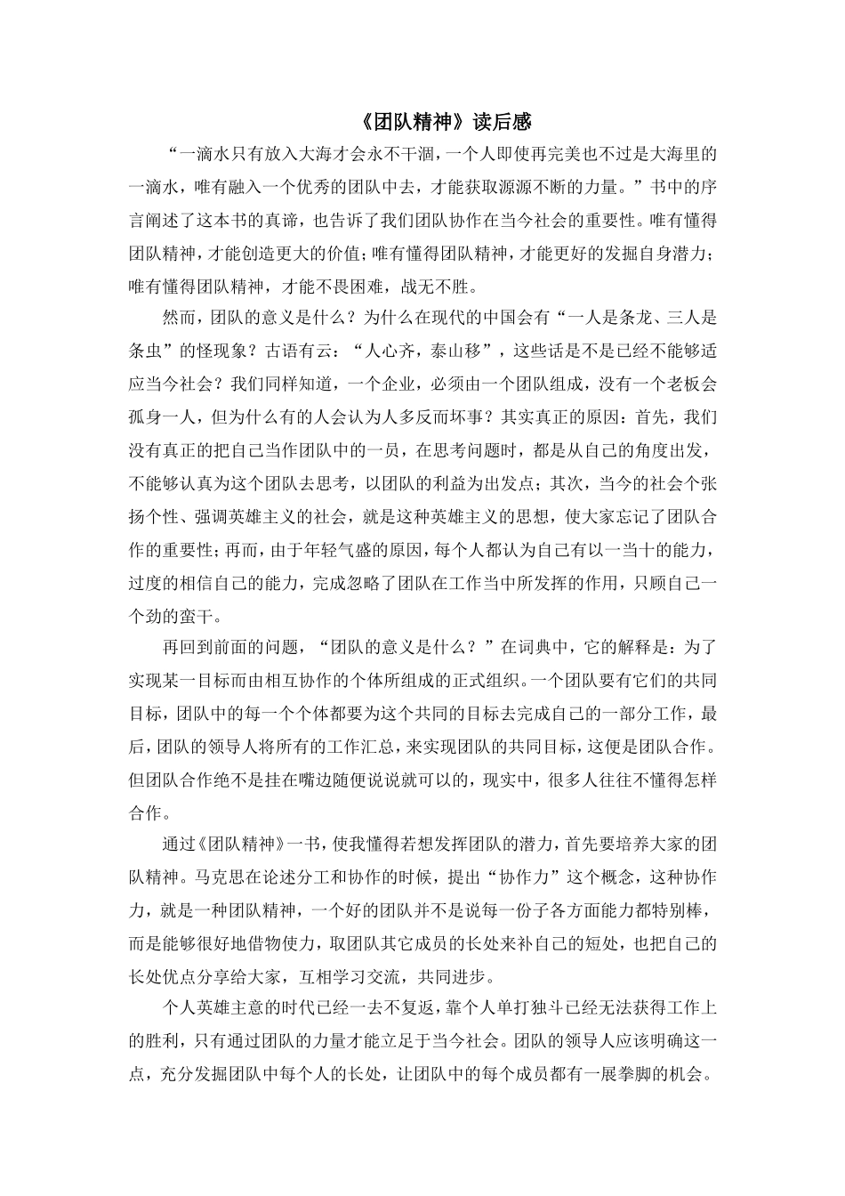 《团队精神》读后感_第1页