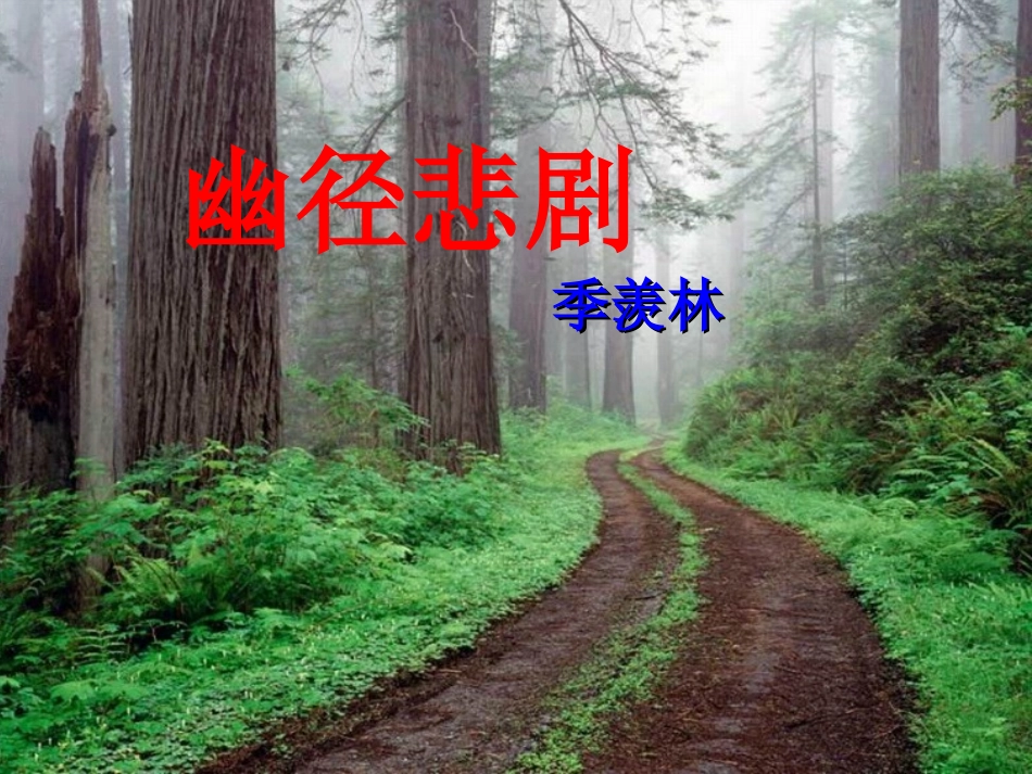 幽径悲剧公开课教学_第1页