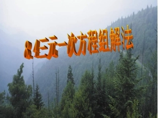 三元一次方程组