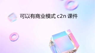 可以有商业模式C2N课件