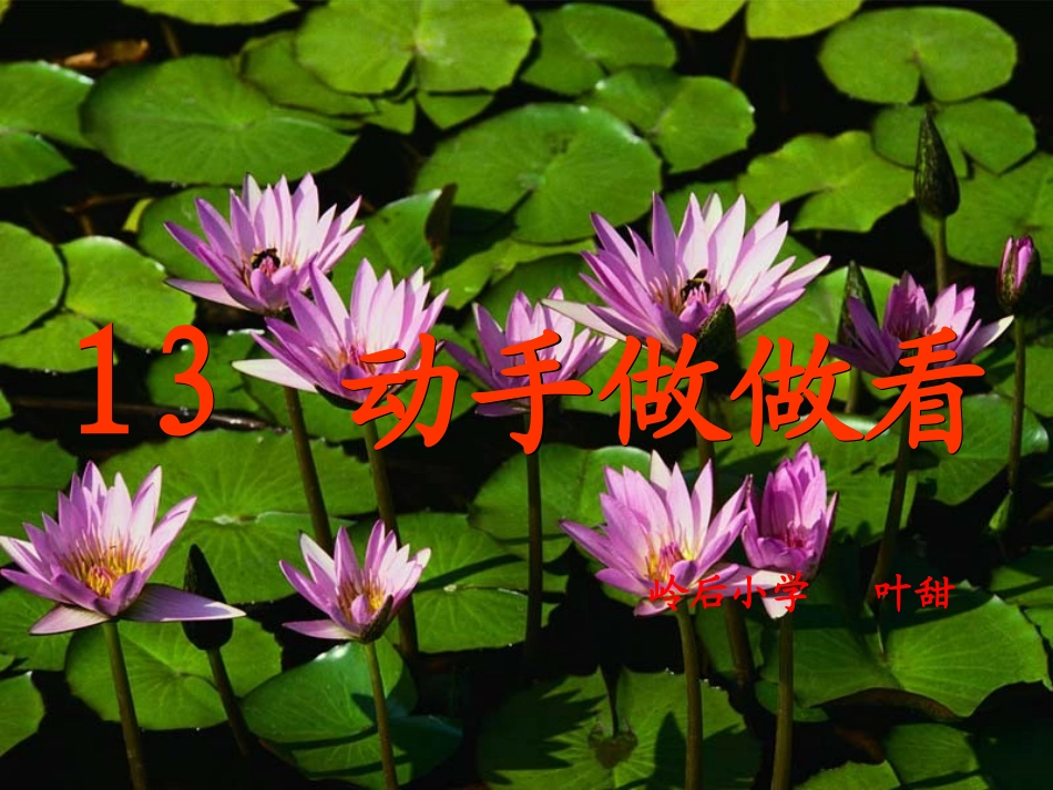 动手做做看PPT1_第1页