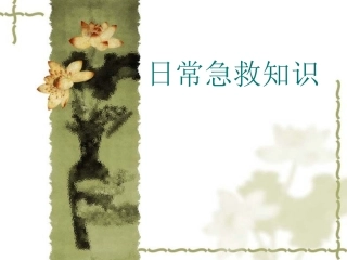 日常急救中暑、脑震荡、鼻出血、溺水