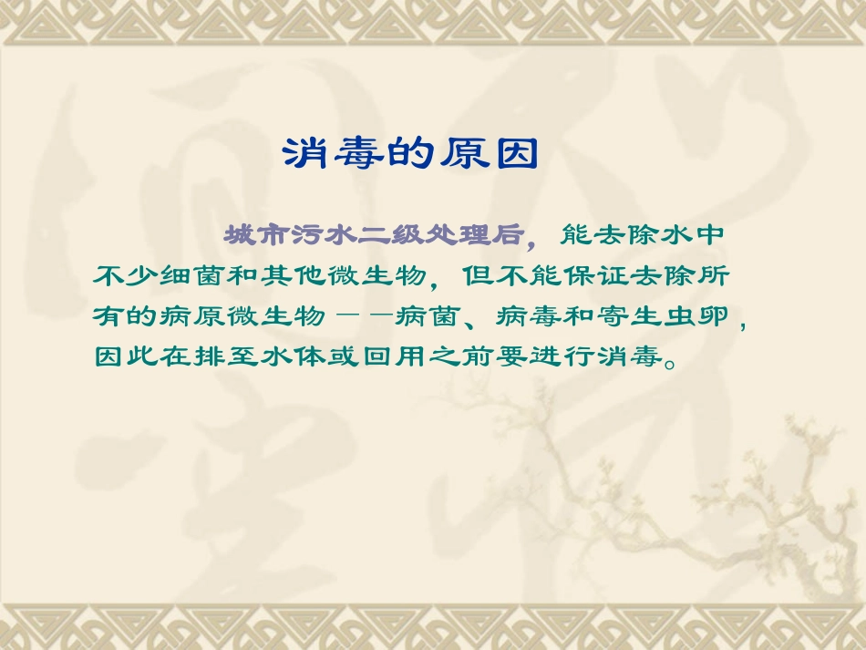 污水处理消毒_第2页