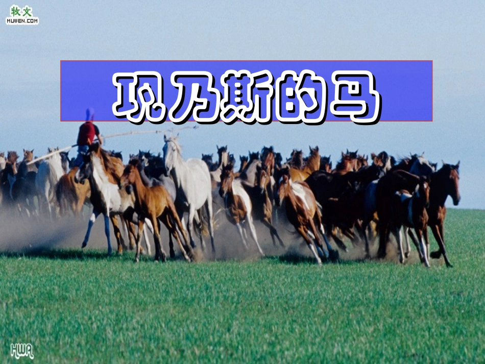 《巩乃斯的马》精品课件_第1页