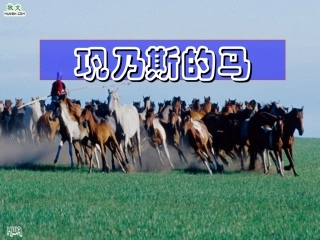 《巩乃斯的马》精品课件