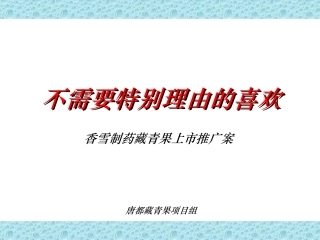 XX制药藏青果上市推广案