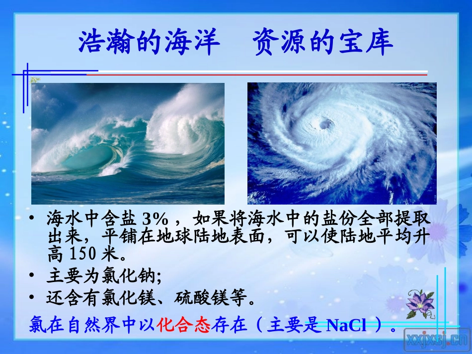 富集在海水中的元素—氯_第2页