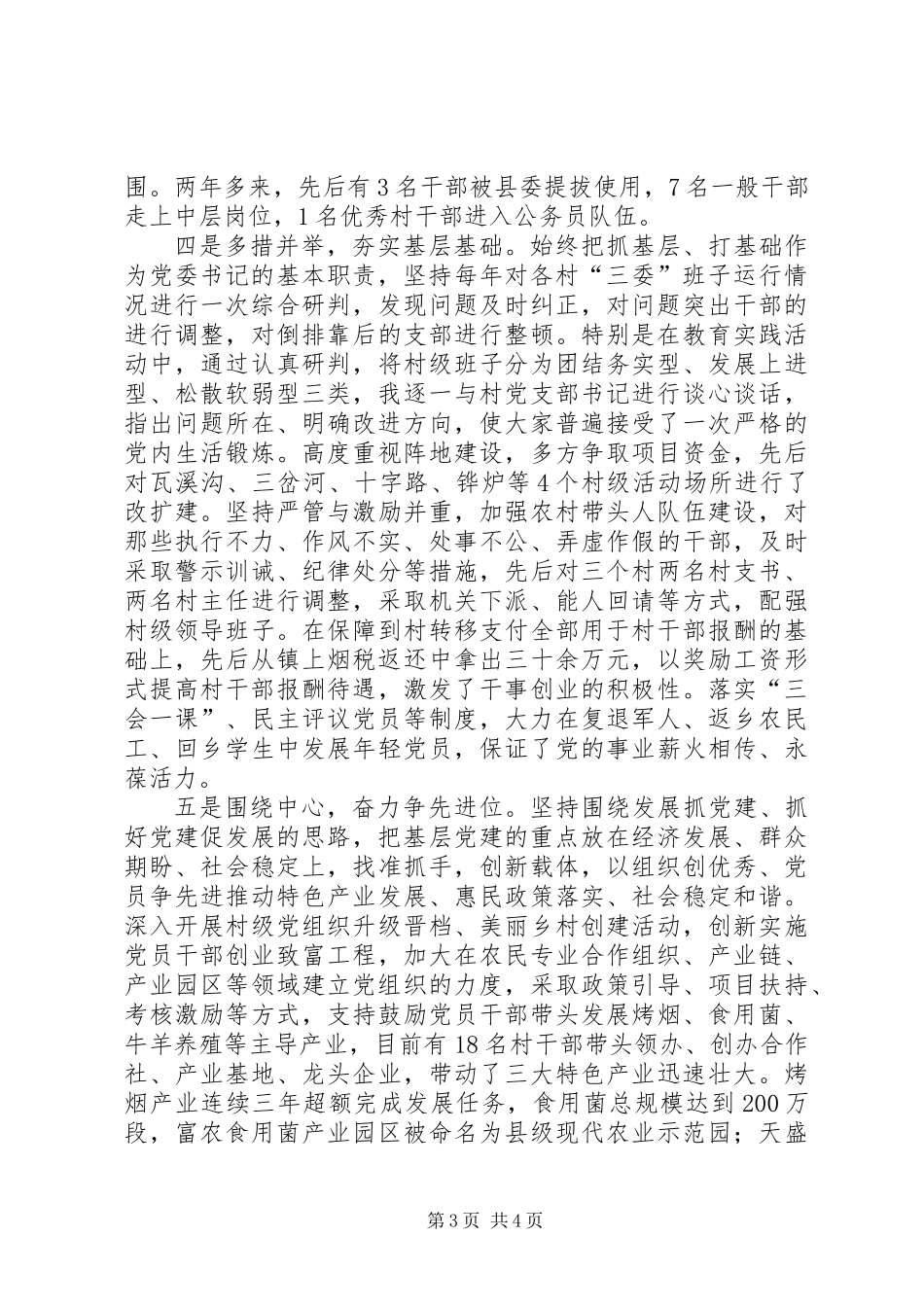 党委书记履行党建直接责任人职责述职报告_第3页