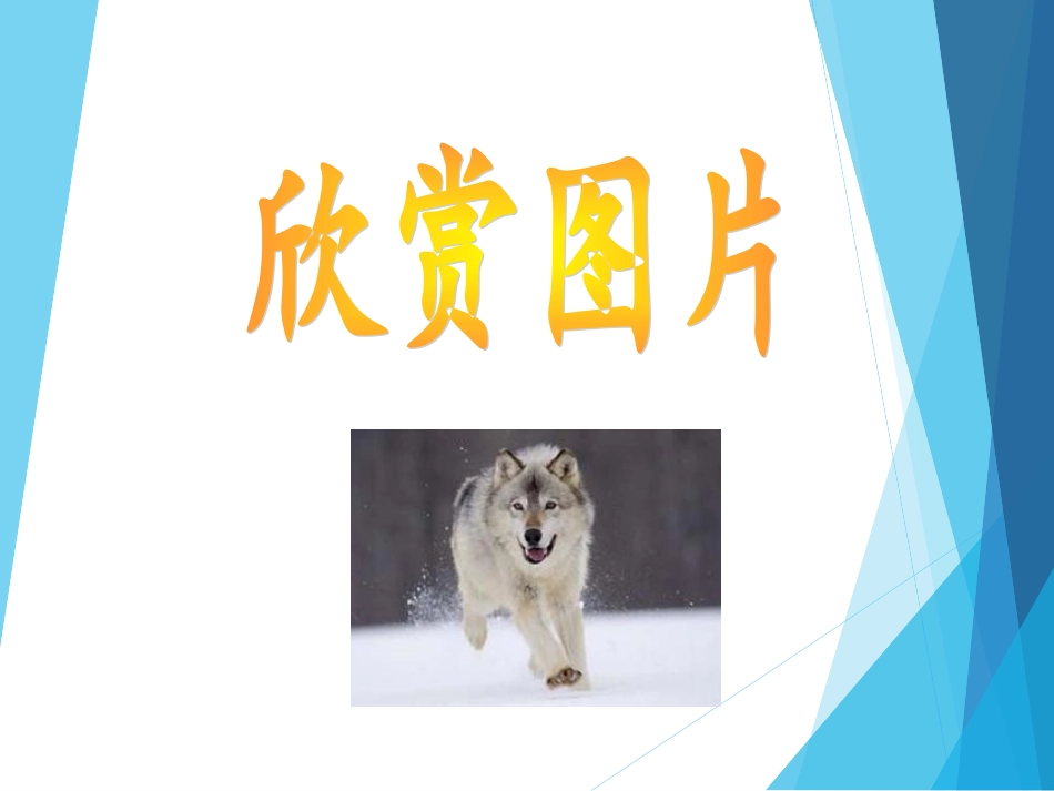 吴吉珍《狼》_第1页