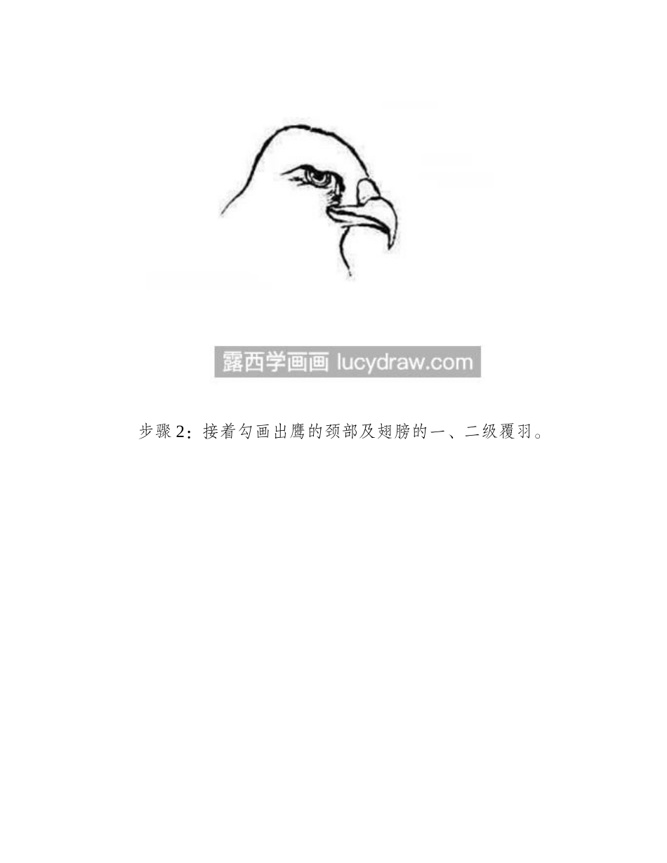 老鹰的画法是什么_国画老鹰教程详解国画教程_第2页