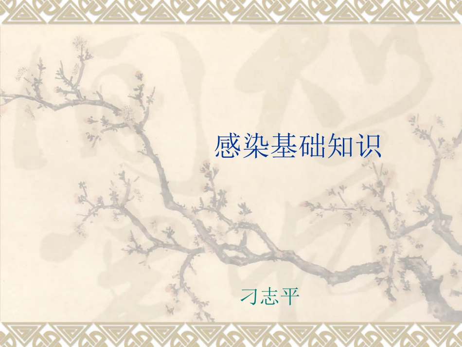 感染基础知识_第1页