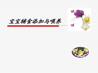宝宝辅食制作与喂养