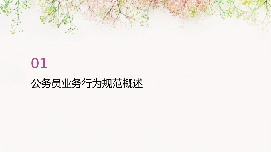 公务员业务行为规范课件_第3页