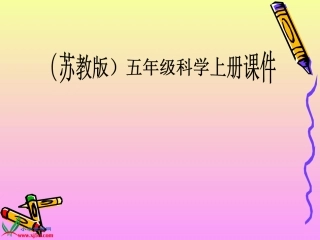 《研究磁铁》PPT课件之三