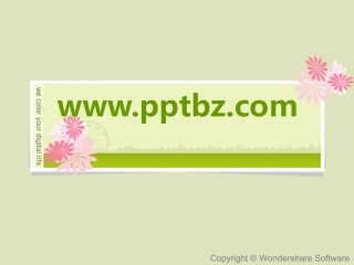 清新淡雅的花朵PPT模板