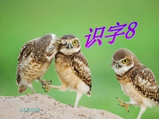 苏教版二年级下册识字8语文课件