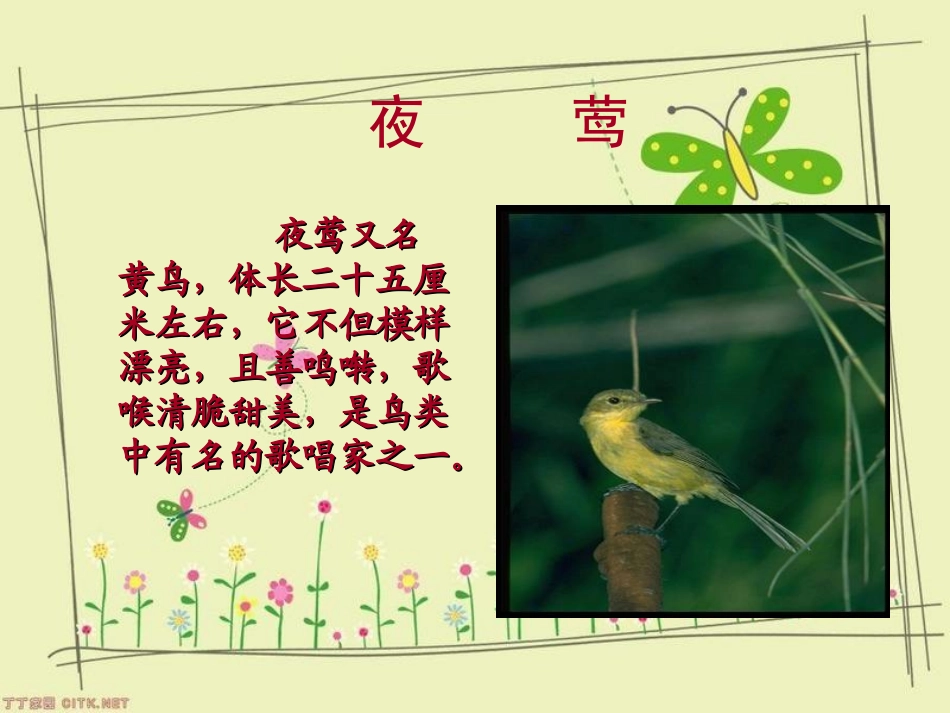 人教新课标版小学四下13《夜莺的歌声》课件_第2页