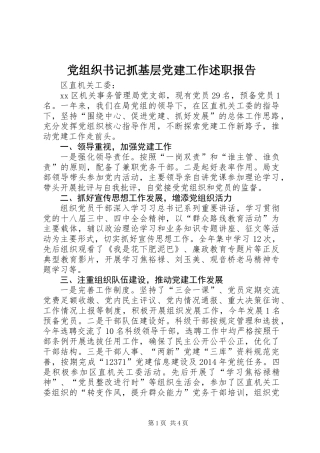 党组织书记抓基层党建工作述职报告