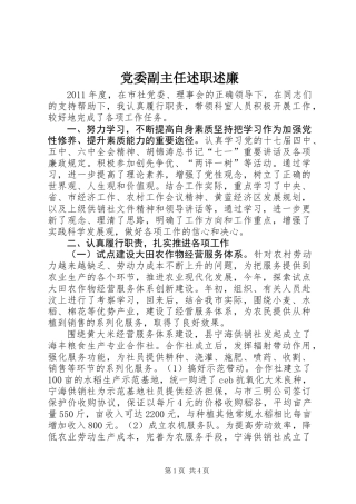 党委副主任述职述廉