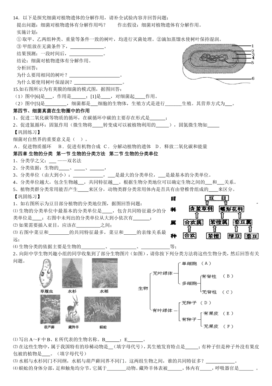 七上第三章生物圈中的微生物第四章生物的分类复习资料_第2页