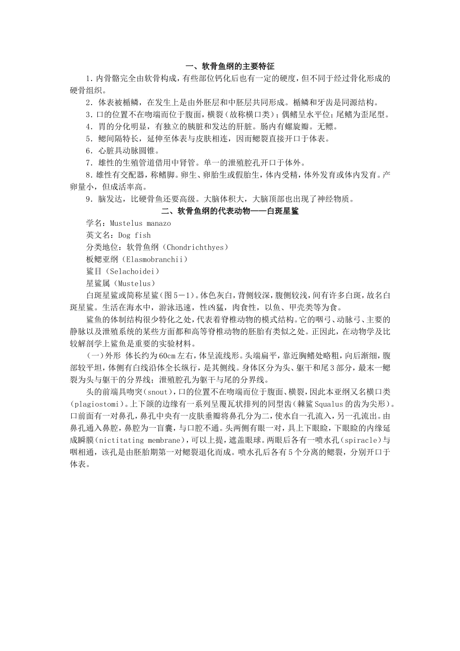 软骨鱼纲的主要特征_第1页